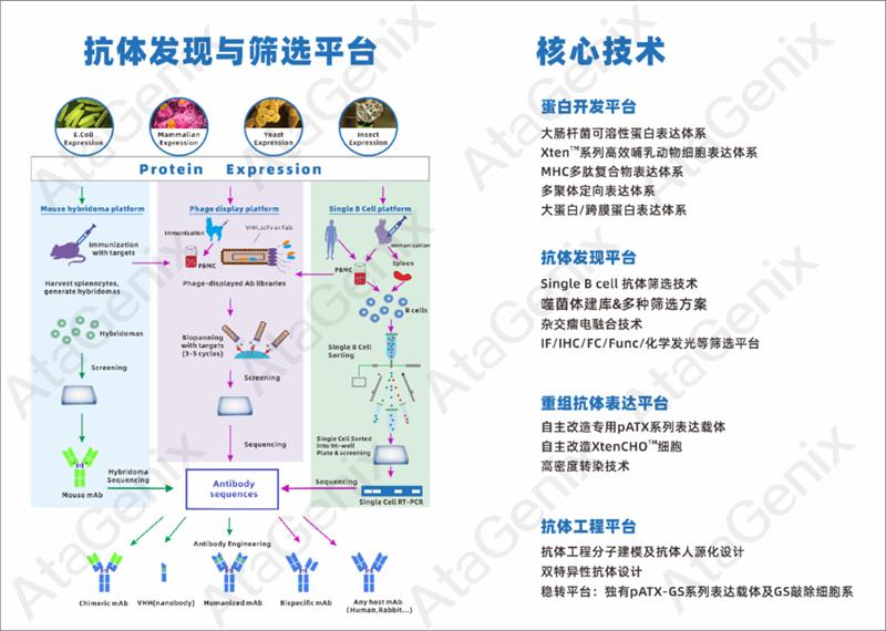 武漢國家生物產(chǎn)業(yè)基地公共服務平臺—光谷抗體發(fā)現(xiàn)與篩選公共服務平臺