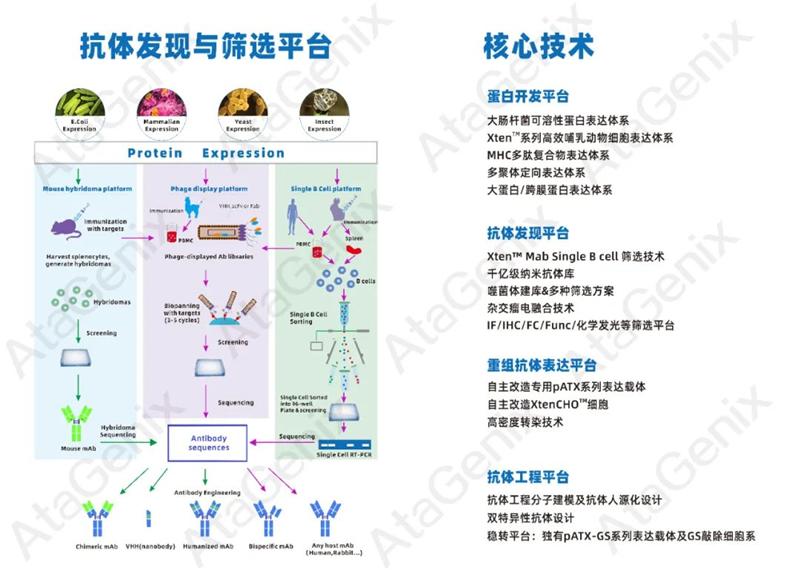 普健生物與環(huán)特生物達(dá)成戰(zhàn)略合作