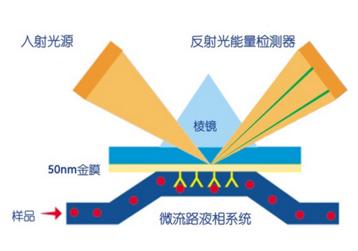 SPR親和力檢測