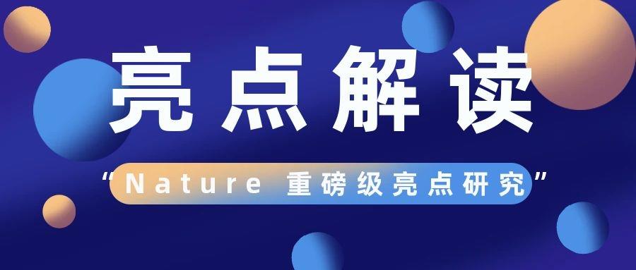 盤點(diǎn)：1月份Nature雜志不得不看的重磅級(jí)亮點(diǎn)研究！
