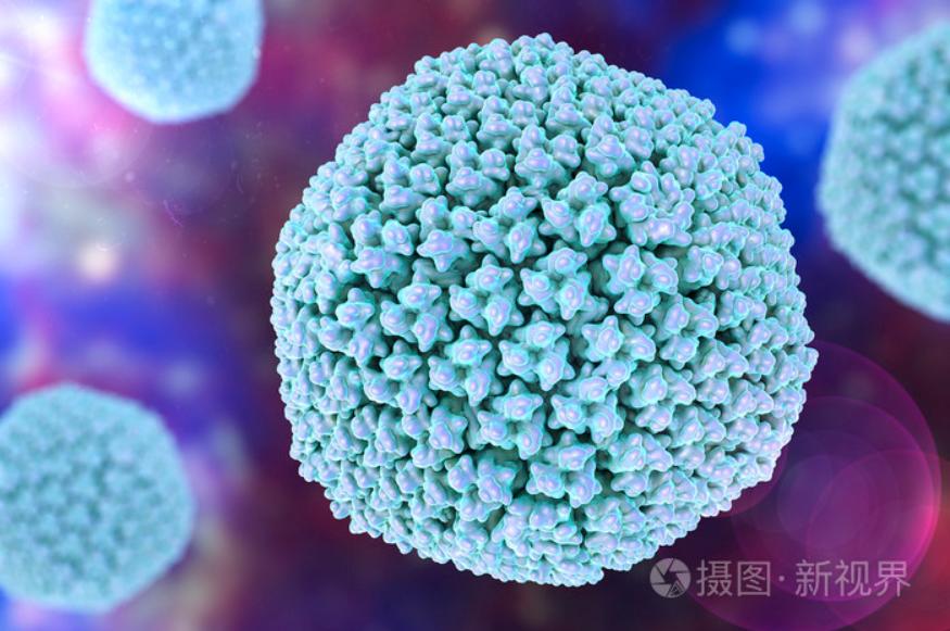 總被要求去內(nèi)毒，究竟是為什么？