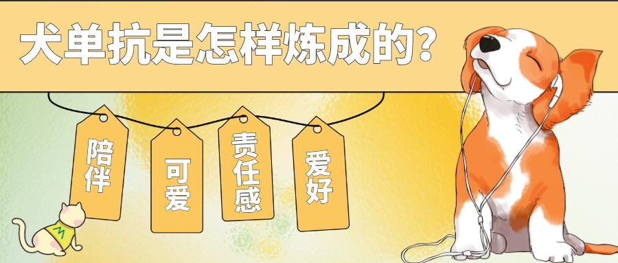 首款犬的單克隆抗體獲批！犬單抗是怎樣煉成的？
