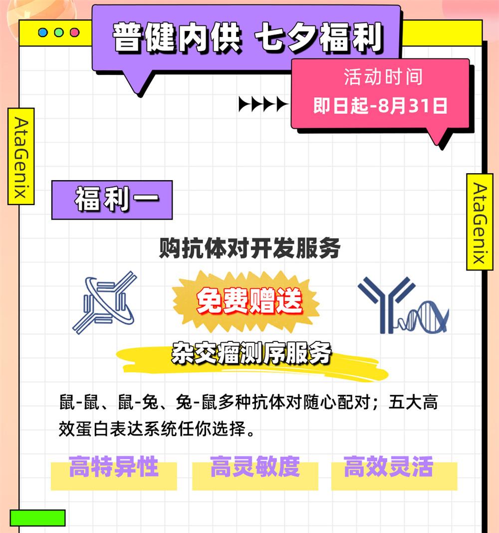 愛在七夕，更在朝夕