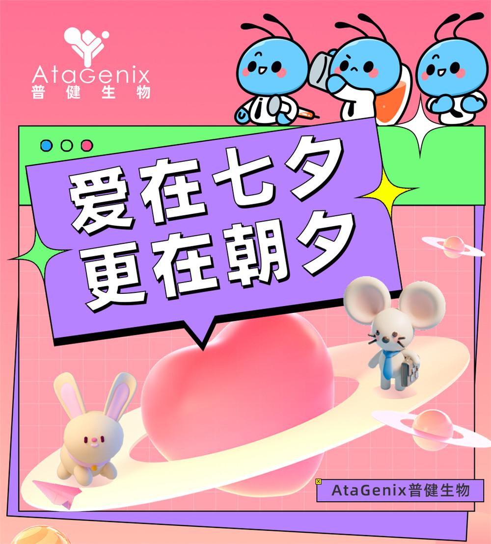 愛在七夕，更在朝夕
