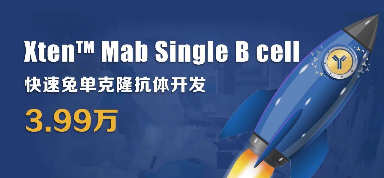 利用兔單B細胞技術制備高親和力、多種表位的抗獨特型單克隆抗體