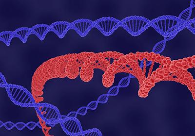 盤點在重組蛋白表達(dá)和純化過程中會遇到的問題