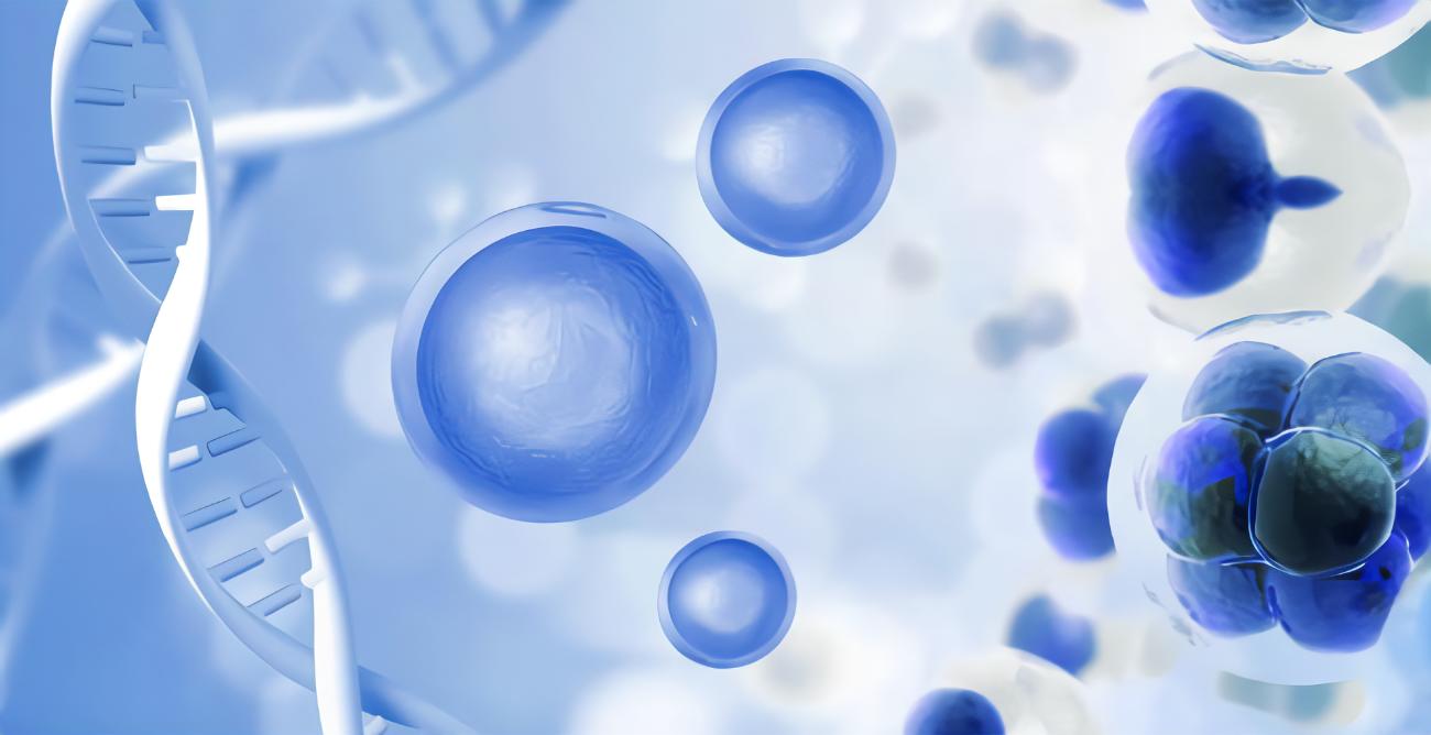 CD133、CD44、CD11b在急性髓系白血病中的表達(dá)及其與臨床預(yù)后的相關(guān)性研究