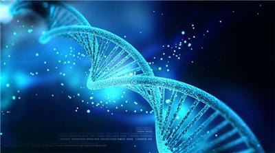 雜交瘤測序的定義及其制備流程-普健生物